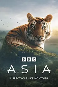 Постер к сериалу «Asia (2024)»