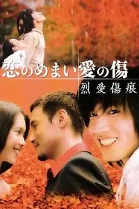 Постер к фильму «Раны любви (2002)»
