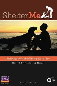 Постер к фильму «Shelter Me (2012)»