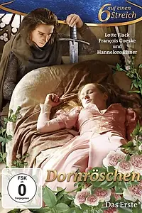 Главный постер фильма «Спящая красавица (2009)»
