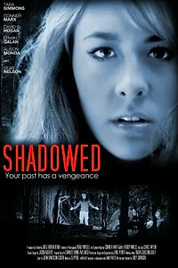 Главный постер фильма «Во тьме (2012)»