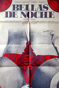 Главный постер фильма «Ночные красавицы (1975)»