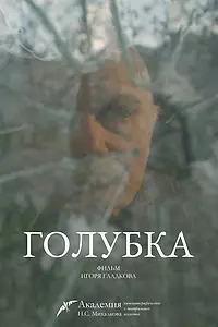 Постер к фильму «Голубка (2022)»