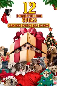 Постер к фильму «12 рождественских собак: Спасение приюта для щенков (2012)»