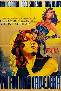 Главный постер фильма «Yo fui una callejera (1952)»