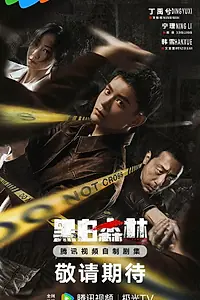 Постер к сериалу «Чёрно-белый лес (2024)»