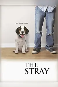 Постер к фильму «The Stray (2012)»