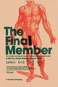Постер к фильму «Музей фаллосов (2012)»
