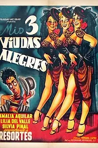 Главный постер фильма «Три мои веселые вдовы (1953)»