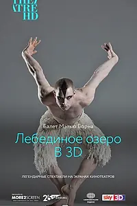Постер к фильму «Мэтью Борн: Лебединое озеро 3D (2012)»