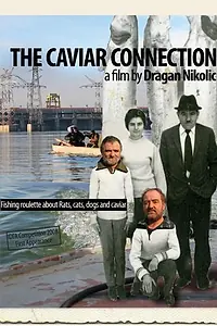 Главный постер фильма «Икорная связь (2008)»
