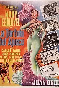 Главный постер фильма «La tórtola del Ajusco (1962)»