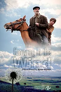 Постер к фильму «Растущий на ветру (2012)»