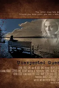 Постер к фильму «Unexpected Guest (2012)»