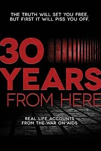 Постер к фильму «30 лет спустя (2011)»