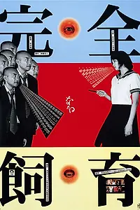Постер к фильму «Идеальное образование (1999)»