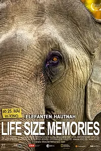 Постер к фильму «Слоны как они есть (2012)»