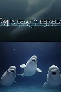 Постер к фильму «Тайна белого беглеца (2012)»
