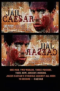Постер к фильму «Код Цезаря (2012)»