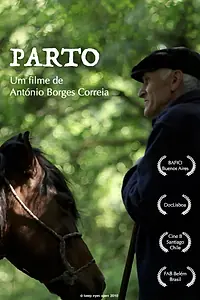 Постер к фильму «Parto (2011)»