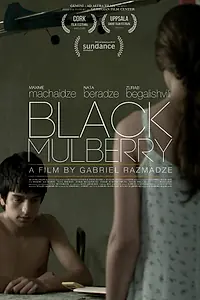 Главный постер фильма «Shavi Tuta (2012)»