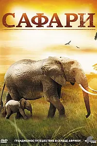 Постер к фильму «Сафари (2011)»