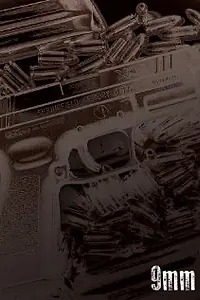 Постер к фильму «9mm (2012)»
