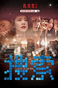 Постер к фильму «Пойманные в сеть (2012)»