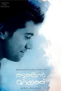 Главный постер фильма «Потаённая краса (2012)»