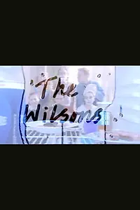 Постер к сериалу «The Wilsons (2000)»