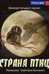 Постер к сериалу «Страна птиц (2011)»