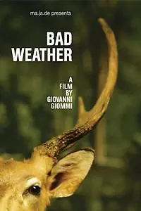 Главный постер фильма «Дурная погода (2011)»