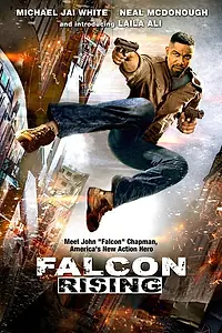 Главный постер фильма «Восхождение Сокола (2013)»