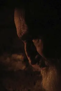 Постер к фильму «Resistente (2012)»