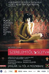 Главный постер фильма «Наказанная любовью (2003)»