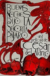 Постер к фильму «Доброй ночи, сказала сеньорита Пахаро (2012)»