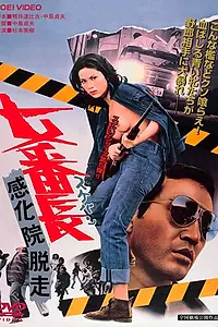 Постер к фильму «Девушка-босс: Побег из исправительной школы (1973)»