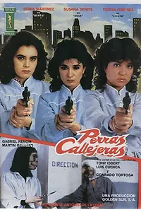 Постер к фильму «Уличные суки (1985)»