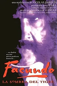 Главный постер фильма «Тень тигра (1995)»
