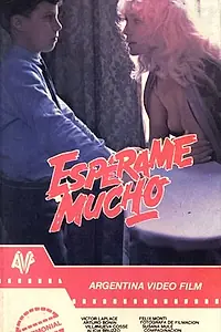 Постер к фильму «Заставь меня ждать (1983)»