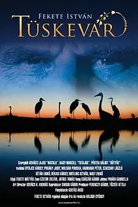Постер к фильму «Терновая крепость (2012)»