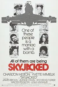 Постер к фильму «Угонщик самолётов (1972)»