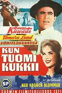 Главный постер фильма «Kun tuomi kukkii (1962)»