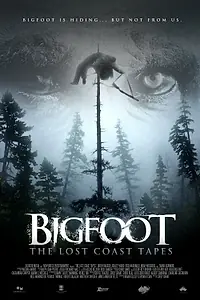 Главный постер фильма «Пленки из Лост Коста (2012)»