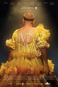 Постер к фильму «Divinas Divas (2016)»