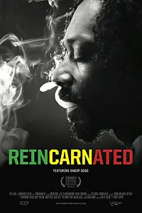Главный постер фильма «Перевоплощённый (2012)»