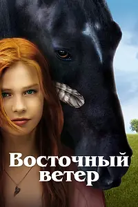Постер к фильму «Восточный ветер (2013)»