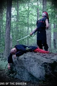 Постер к фильму «Sins of the Dragon (2012)»
