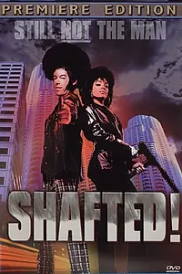 Постер к фильму «Shafted! (2000)»