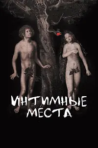 Главный постер фильма «Интимные места (2013)»